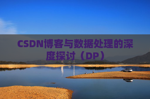 CSDN博客与数据处理的深度探讨（DP）
